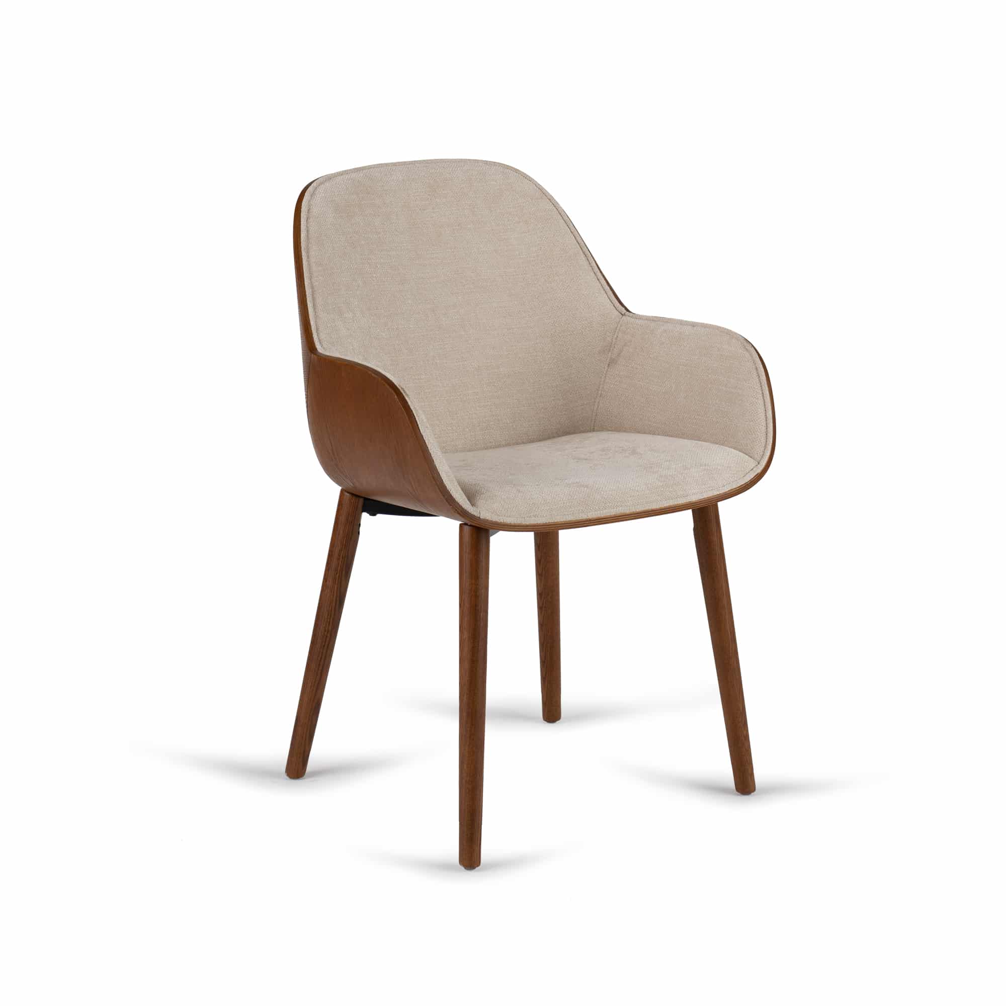 קולקציית פאנל